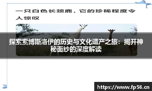 探索索博斯洛伊的历史与文化遗产之旅：揭开神秘面纱的深度解读