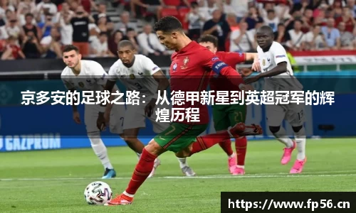 BB贝博登录入口